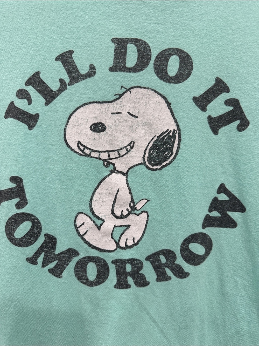 Peanuts Hybrid snoopy graphic Tee in Mint - Picture 3 of 4